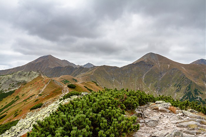 tatry zachodnie